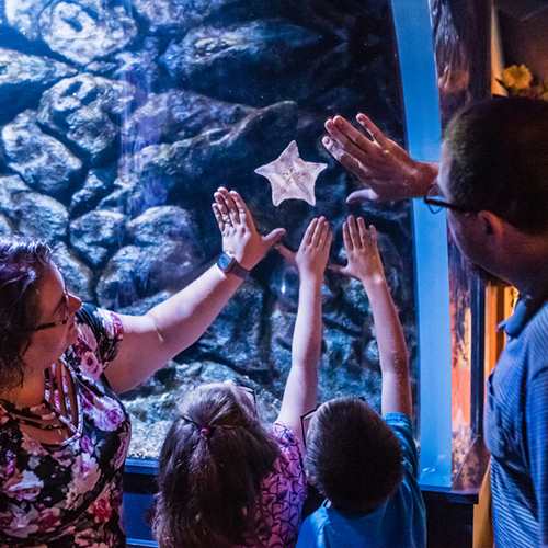 Free for Military & First Responders on the 4th of July @CLEAquarium