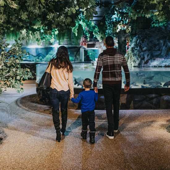 8 Sensory Inclusive Family Attractions in Cleveland