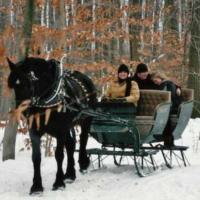 Ma and Pa's Horse Drawn Sleigh Rides
