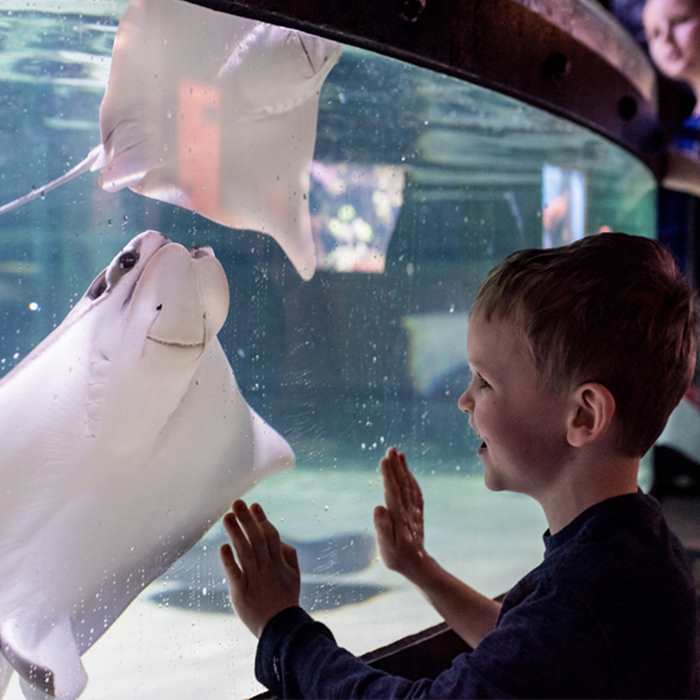 Greater Cleveland Aquarium