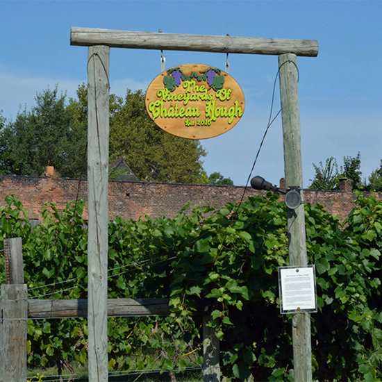 The Vineyards and Winery at Chateau Hough